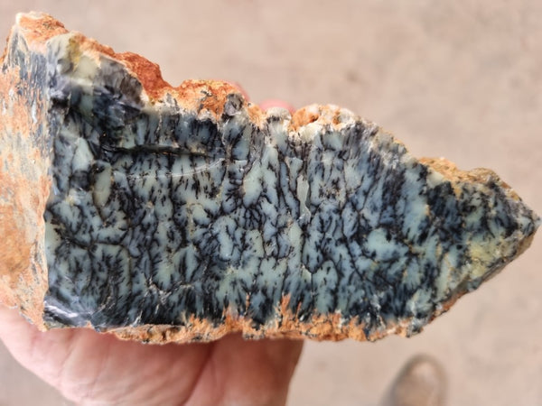 Dendritic Opal  rough.  DOR211