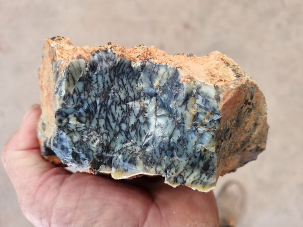 Dendritic Opal  rough.  DOR211