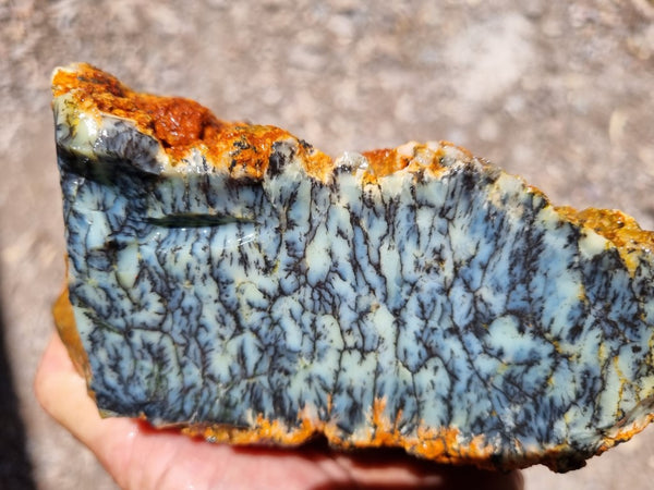 Dendritic Opal  rough.  DOR211