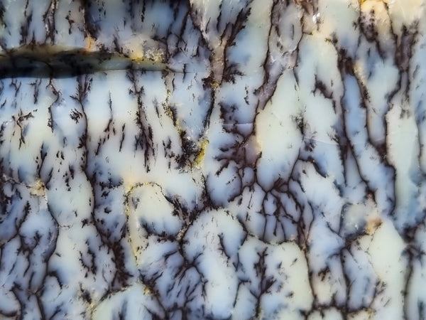 Dendritic Opal  rough.  DOR211