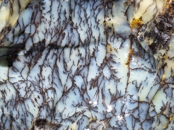 Dendritic Opal  rough.  DOR211