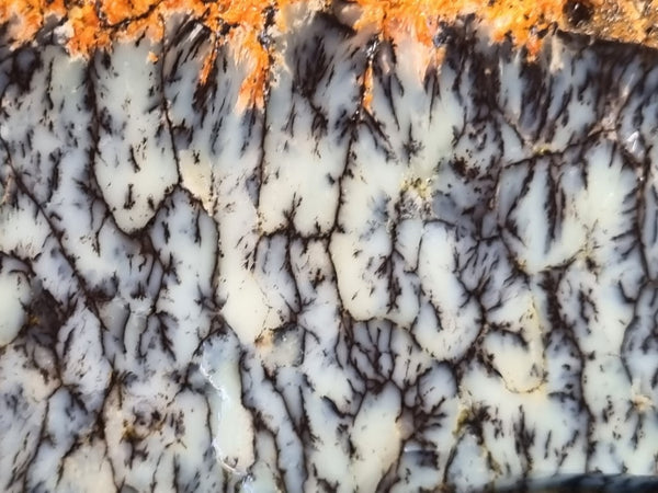 Dendritic Opal  rough.  DOR211