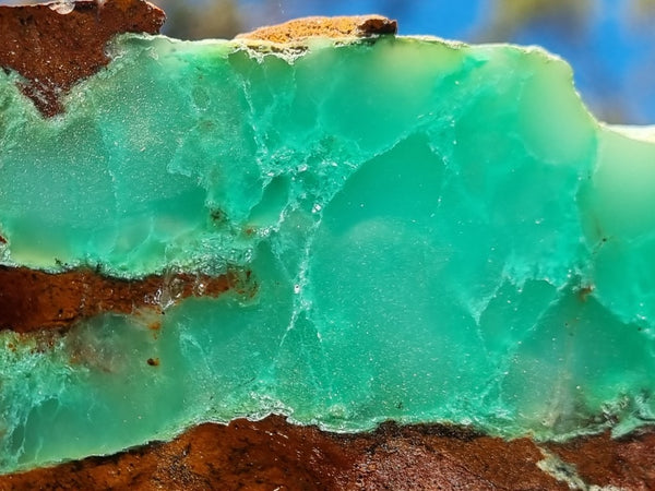 Polished Chrysoprase slab CH421