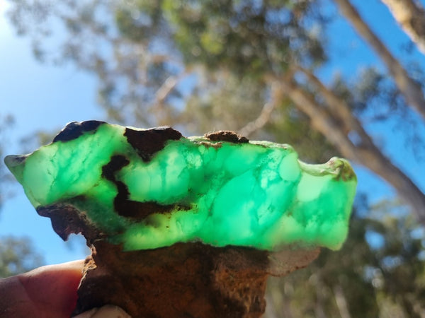 Polished Chrysoprase slab CH421