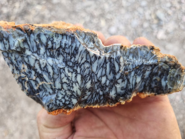 Dendritic Opal  rough.  DOR220