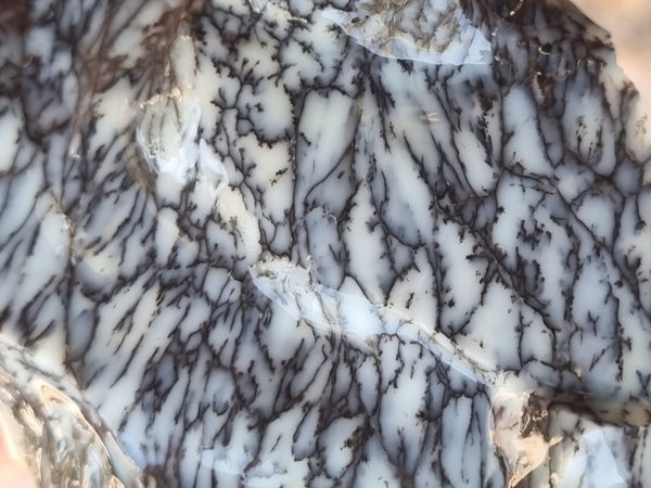 Dendritic Opal  rough.  DOR220