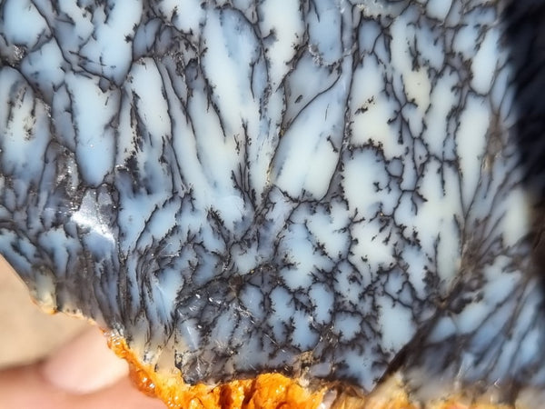 Dendritic Opal  rough.  DOR220