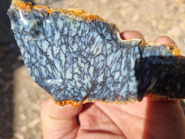 Dendritic Opal  rough.  DOR220