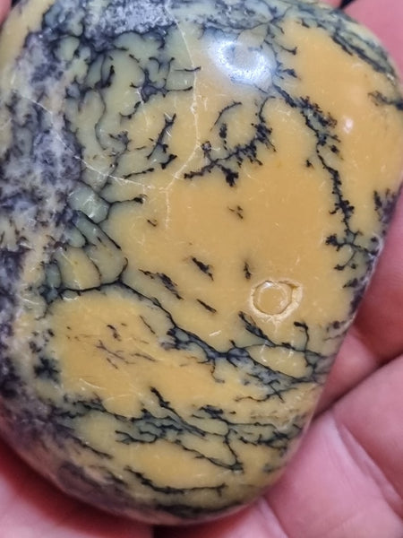 Tumble Polished Dendritic Opal DOT104