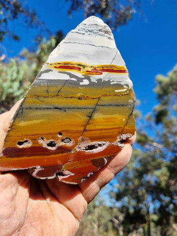 Sunset Jasper polished  SU144