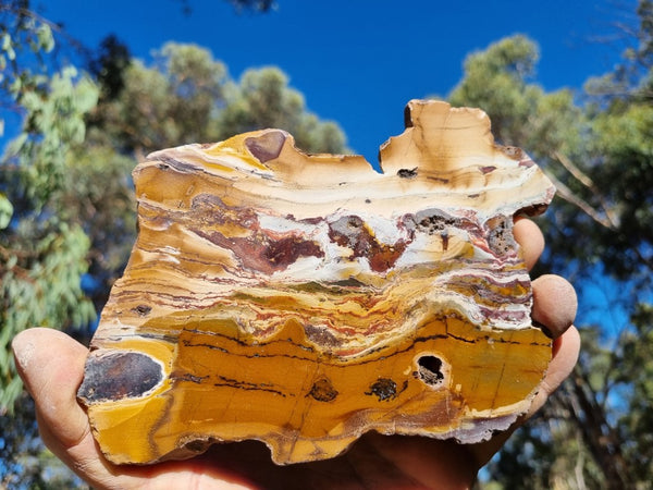 Sunset Jasper polished slab SU143