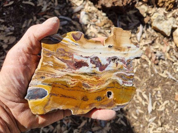 Sunset Jasper polished slab SU143