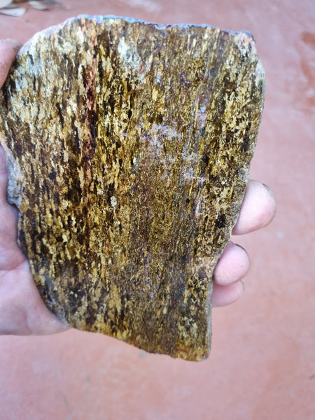 Polished Golden Amphibolite slab GA142