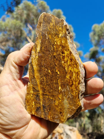 Polished Golden Amphibolite slab GA143