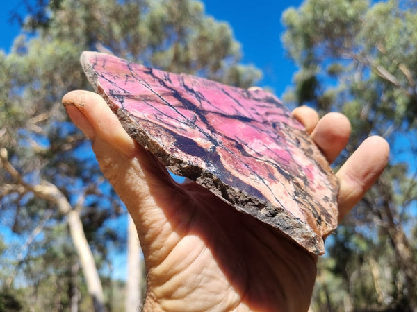 Polished Rhodonite slab RH250