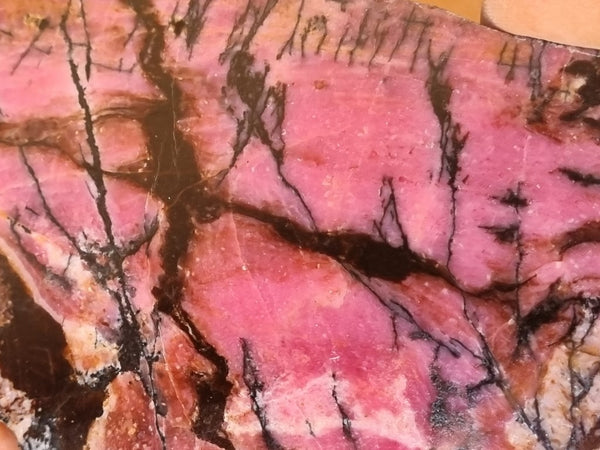 Polished Rhodonite slab RH250