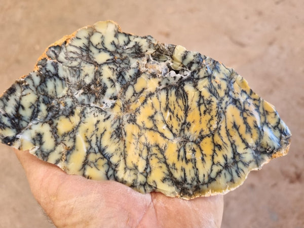 Dendritic Opal  rough.  DOR216