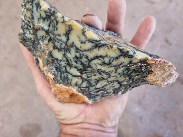 Dendritic Opal  rough.  DOR216