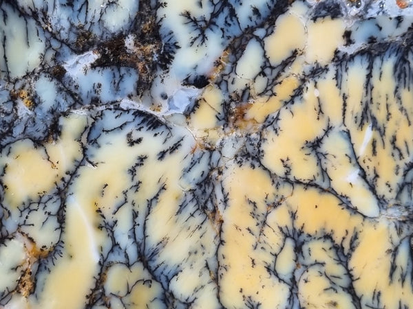 Dendritic Opal  rough.  DOR216