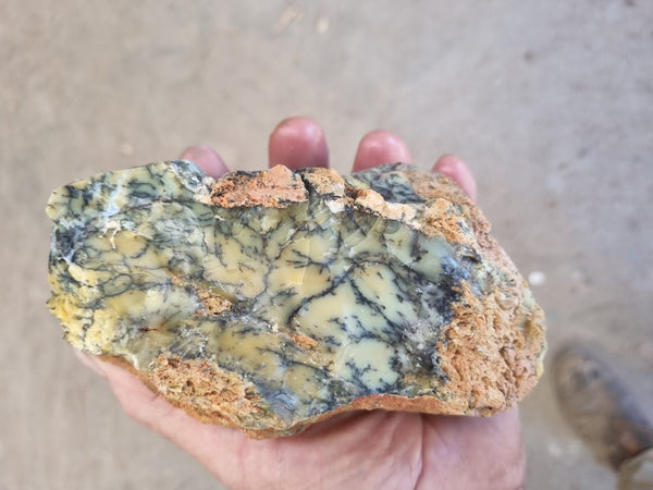 Dendritic Opal  rough.  DOR217