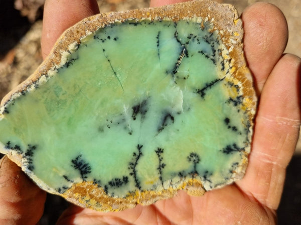 Polished Chrysoprase slab CH423