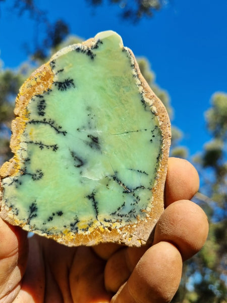 Polished Chrysoprase slab CH423