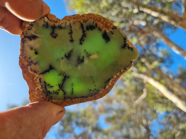 Polished Chrysoprase slab CH423