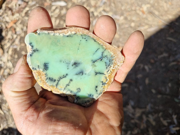 Polished Chrysoprase slab CH423