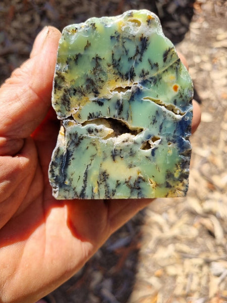 Polished Dendritic Opal DO183