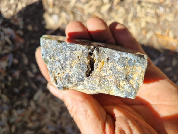 Polished Dendritic Opal DO183