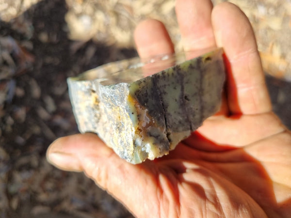 Polished Dendritic Opal DO183