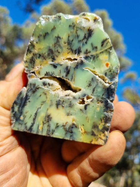 Polished Dendritic Opal DO183