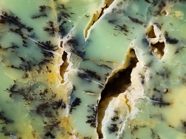 Polished Dendritic Opal DO183