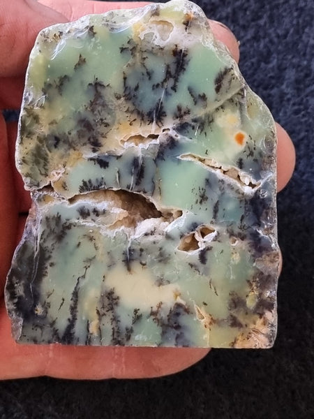 Polished Dendritic Opal DO183