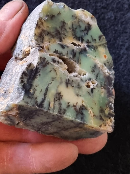 Polished Dendritic Opal DO183