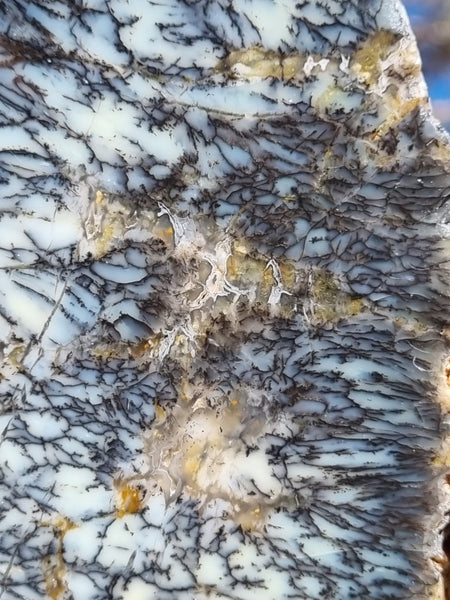 Polished Dendritic Opal slab DO185