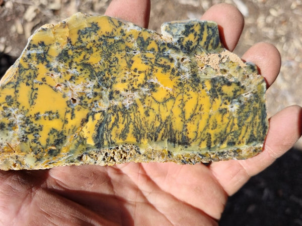 Polished Dendritic Opal slab DO184