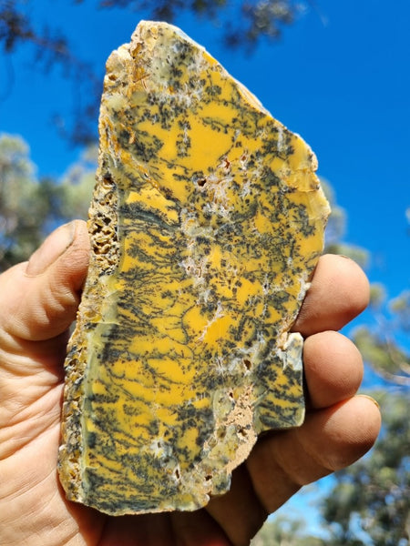 Polished Dendritic Opal slab DO184