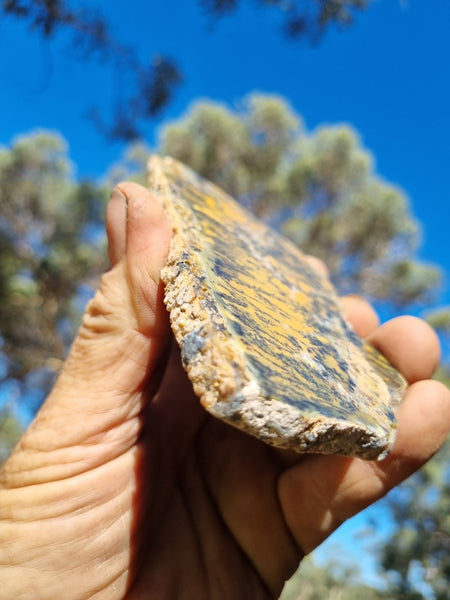 Polished Dendritic Opal slab DO184