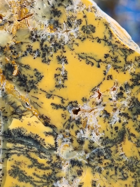 Polished Dendritic Opal slab DO184