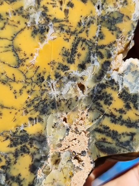 Polished Dendritic Opal slab DO184