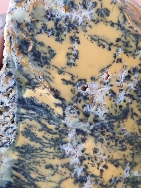 Polished Dendritic Opal slab DO184