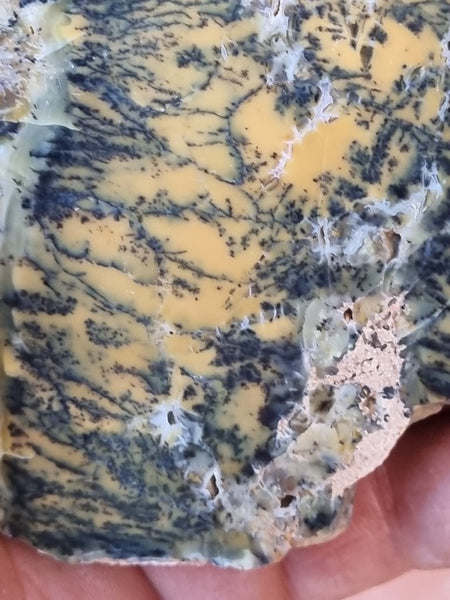 Polished Dendritic Opal slab DO184