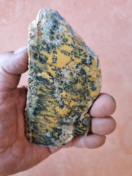 Polished Dendritic Opal slab DO184