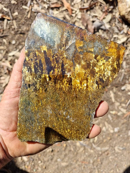 Polished Golden Amphibolite slab GA144