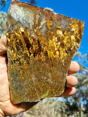 Polished Golden Amphibolite slab GA144