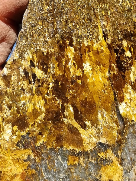 Polished Golden Amphibolite slab GA144