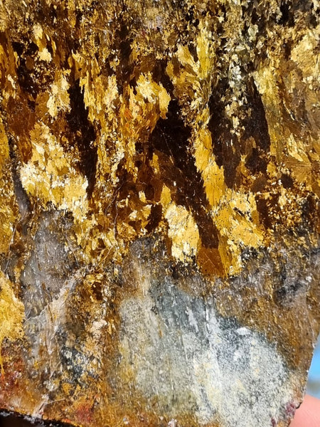 Polished Golden Amphibolite slab GA144