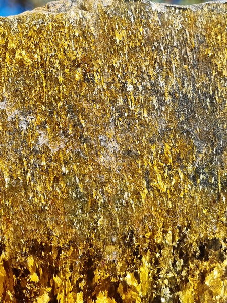 Polished Golden Amphibolite slab GA144