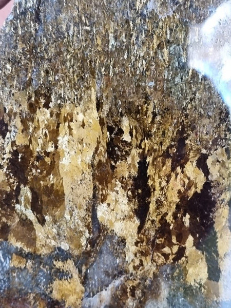 Polished Golden Amphibolite slab GA144